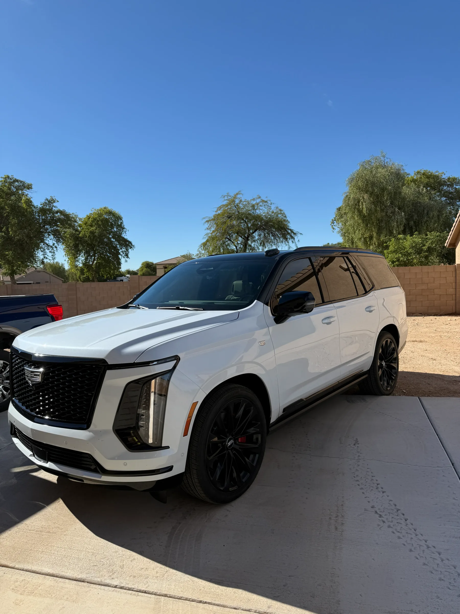 A white Cadillac Escalade with dark window tint applied to all windows, parked in a residential driveway in Cave Creek.